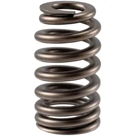 Vs-1642 Melling Stock Replacement Valve Spring