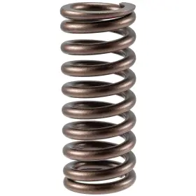 Vs-2487 Melling Stock Replacement Valve Spring