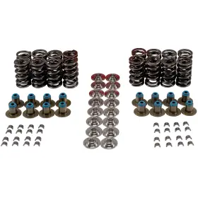 Vsk46673t Melling High Performance Valve Spring