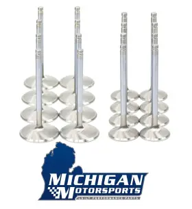 Mm-1.590hp-08 Michigan Motorsports Mm-2.165hp-08 Stainless 2.165 Inch /1.59 Performance Valve Set L99 L76 L77 L92 Ly6 L94 L96 821 823