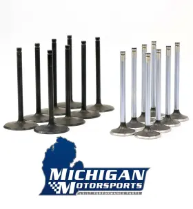 5364 Michigan Motorsports Mm-2.165std-08 Mm-1.590std-08 Replacement Valve Set For L99 L76 L77 L92 Ly6 L94 L9h L96 Ls Heads 821 823