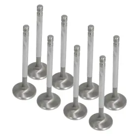 45610-8 Milodon Street Stainless Valves