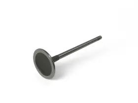 11347585901 Mini 111226 Cooper S Jcw Intake Valve N14 N18 New 07-16 R5x R6x
