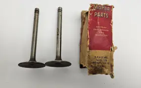 1613753 Mopar 1954-1956 Dodge Truck C-3 C-4 Engine Intake Valve 8 Cylinder Nos