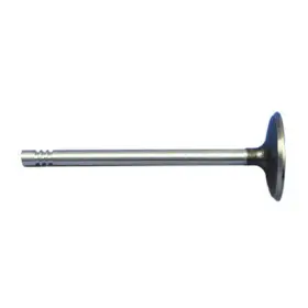 4663899 Mopar Engine Intake Valve Standard Left/right For 2001 Chrysler