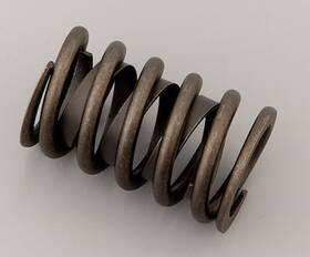 Mopar Performance P4286813 Single Valve Spring With Damper A/slant-6/3.9l V6/2.2l/2.5l