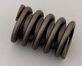 P4876062 Mopar Performance Single Valve Spring With Damper