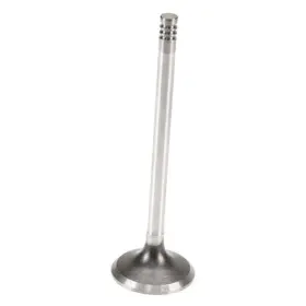 W0133-2834693-mpr Mopar For Ram 1500 2011-2020 Exhaust Valve
