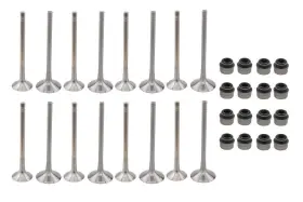 Motoku 675663431807 16pcs Engine Intake And Exhaust Valves Kit Fit For Golf Gti Tiguan A3 A5 Tt Q3