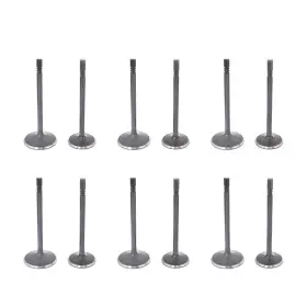 Aud512d Munirater 12pcs Valves Intake Exhaust Set For 1997-10 Ford Explorer 2005-2010 Mustang 4.0l