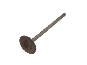 12115vypx Nakamura For 1996-2005 Mitsubishi Eclipse Intake Valve 2000 1997 1998