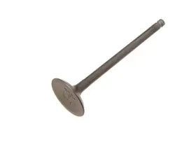 15rrcmx82 Nakamura Intake Valve For Eclipse Lancer Galant Mirage 1996 2003 1999 2006 1989
