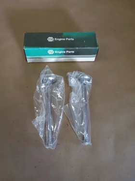 211-1558 Napa Vintage Genuine New Old Stock Valves Set Of Two