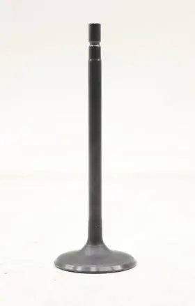 13201ez30a Nissan New Oem Engine Intake Valve For Titan Xd Armada 5.6l 2017-2024