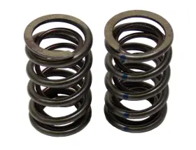 Nr Racing 654329003787 Gx390 Dual Valve Spring Set 390-dual-pair