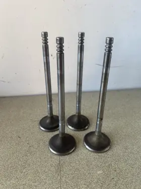11317513019 Oem/mini 02-08 Cooper S/convertible R53/r52/w11 Supercharged Intake Valve Set Of 4