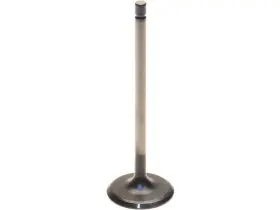 25tw19d Original Intake Valve Fits 2011-2020 Hyundai Elantra