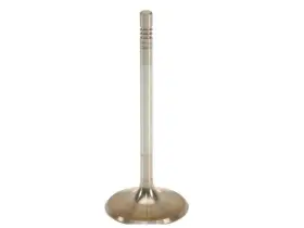 74zybk84 Original Intake Valve For 911 Boxster Cayman 2006 2002 2003 2004 2005 2007 2008