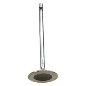 Original Equipment 191331114631 For Porsche Boxster 2000-2006 Intake Valve