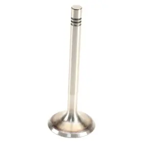 W0133-2047045-oea Original Equipment For Porsche 914 1970-1972 Intake Valve