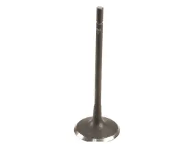 22yv31f Osvat Intake Valve Fits 2009-2010 Jaguar Xf 4.2l V8