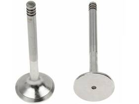 Osvat 62129jhwb For 1998-2003 Volkswagen Beetle Exhaust Valve 2002 1999 2000 2001