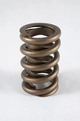 1200-16 Pac Racing Springs Street Performance Valve Spring Od 1.244 Spr
