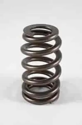 1218-16 Pac Racing Springs 1200 Series Beehive Valve