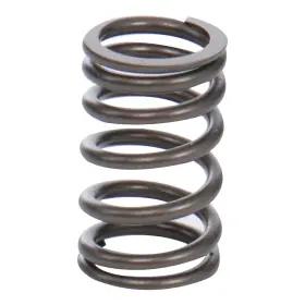 021109623k Pacific Parts International 377-464 72-74 Vw Bus Intake Or Exhaust Valve Spring 1700cc -