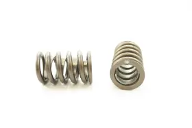 Rv-935-x-100 Pioneer Automotive Products Valve Springs