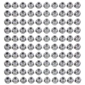 Os-1066-100 Pioneer - Teflon Oil Seals 11/32 100
