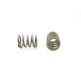 Rv9254 Pioneer Valve Spring