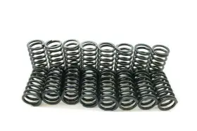 S-1054 Pioneer Engine Valve Spring Kit