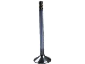 29285dgjj Pro Parts For 1997-1998 Volvo S90 Intake Valve 7 Mm Stem