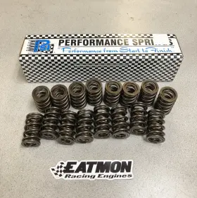 Ct-1227 Psi New Ct 1227 Dual Valve Springs 1.560 Inch 200-555lbs