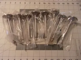 10-1001 Qualcast 8 Intake Valves Mercury Omc 302ci 5.0l Ford