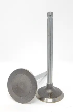 10-10015 Qualcast Fits 1974-1980 Nissan 2.0l 1952cc L4 8v L20b Engine -set Of 4 Intake Valves