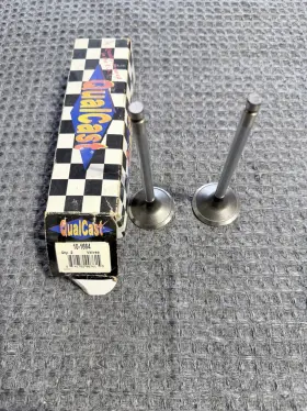 10-1664 Qualcast 101664 2 Valves New