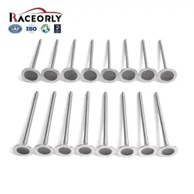 I04006006 Raceorly Intake Exhaust Valves For Bmw 328i 520i X3 F10 F22 F30 E84 E89 N20 2.0