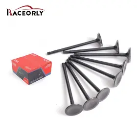 I06012005 Raceorly Intake Valve Set For Jaguar Land Rover 2.0l Diesel Aj200d 204dtd 204dta