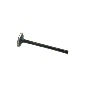114673608 Reliance Power Products Exhaust Valve
