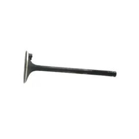 114821710 Reliance Power Products Intake Valve