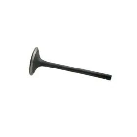 114824417 Reliance Power Products Intake Valve