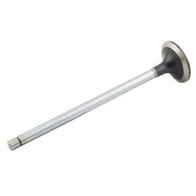 Reliance Power Products 11500355778 Intake Valve