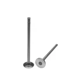 18922516 Reliance Power Products Exhaust Valve