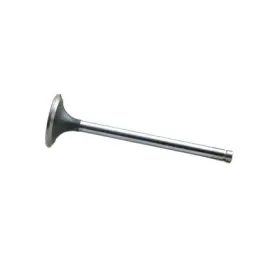 31823875 Reliance Power Products Intake Valve