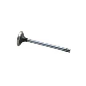31824840 Reliance Power Products Exhaust Valve