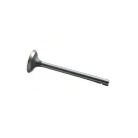 470234829 Reliance Power Products Intake Valve