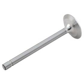 Reliance Power Products 470241535 Intake Valve