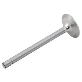 470241535 Reliance Power Products Intake Valve